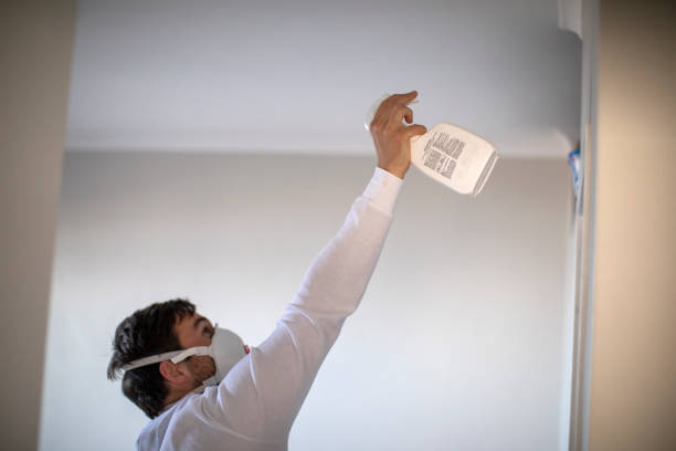 Best Office Mold Removal Services  in Licking, MO