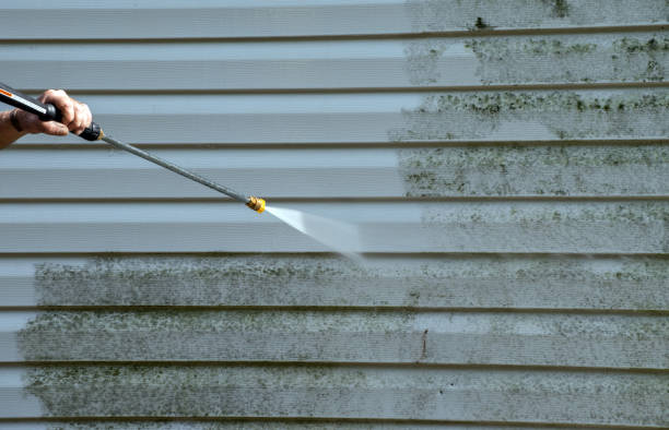 Mold Removal Process in Licking, MO