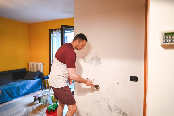 Best Mold Damage Repair  in Licking, MO